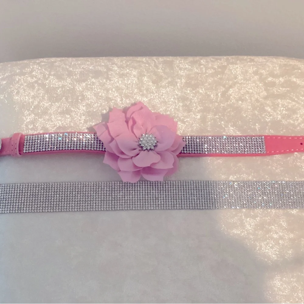 Beautiful dog collar for the pampered pet